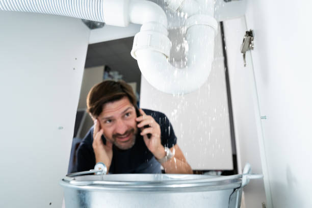 Best Leak Detection Services  in Rosemont, CA