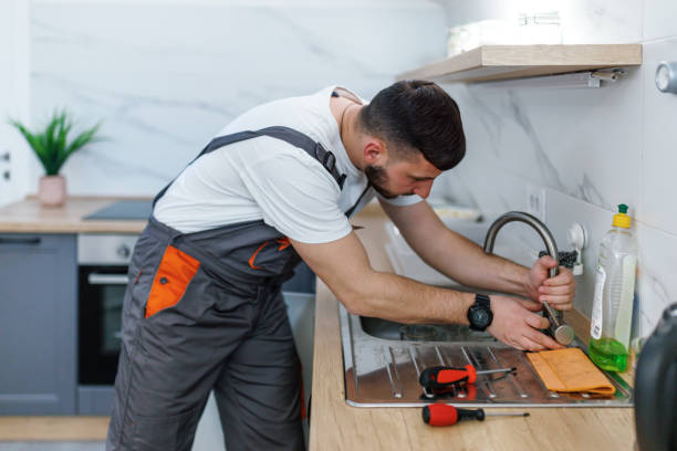 Best Clogged Drain Plumber  in Rosemont, CA