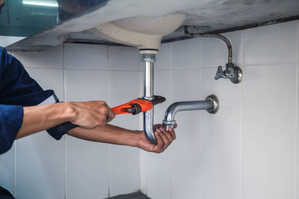 Best Commercial Plumbing Services  in Rosemont, CA